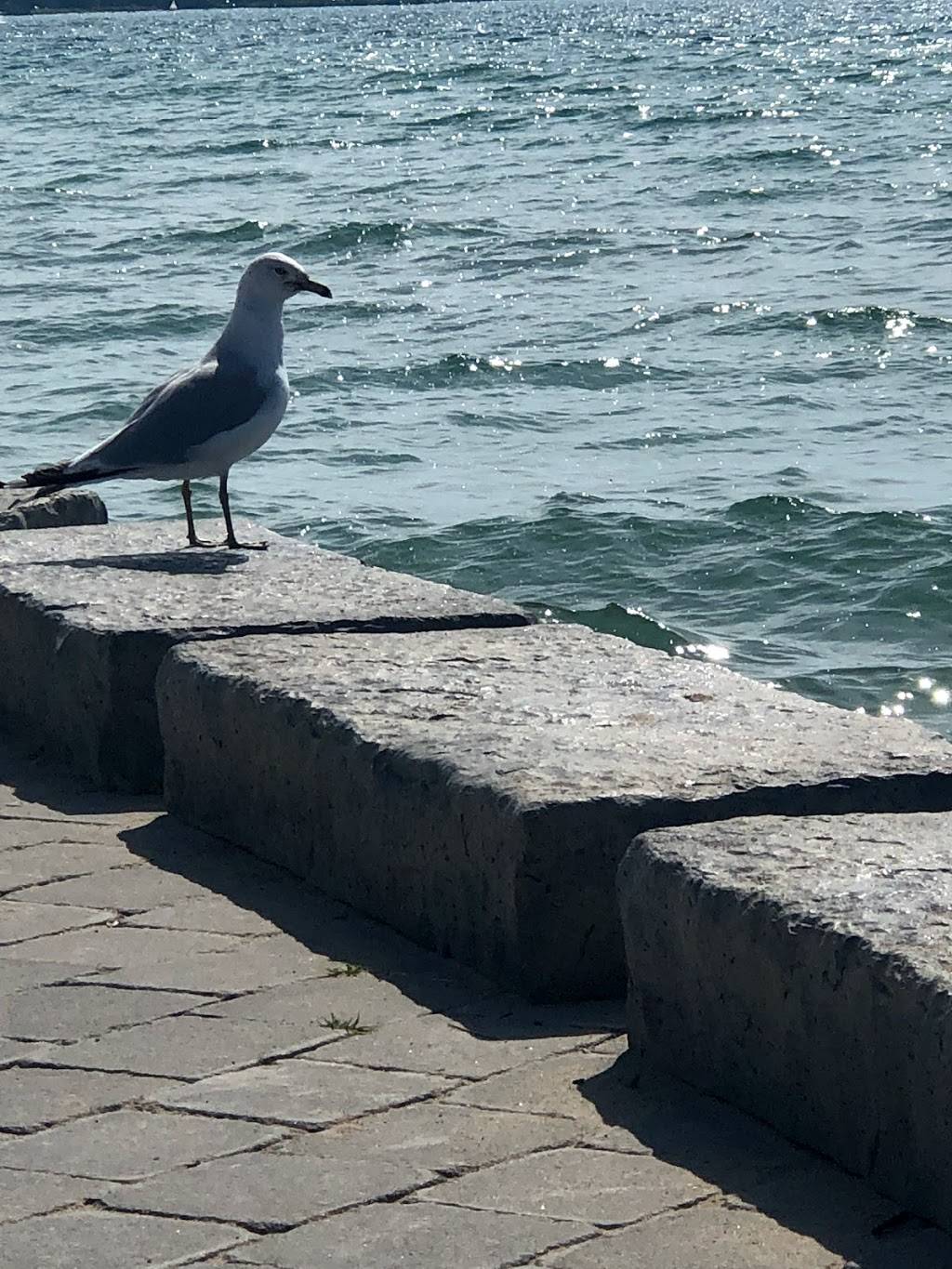 Beachside Cafe | restaurant | 596 Harbour St, Port Elgin, ON N0H 2C5, Canada | 5198325455 OR +1 519-832-5455