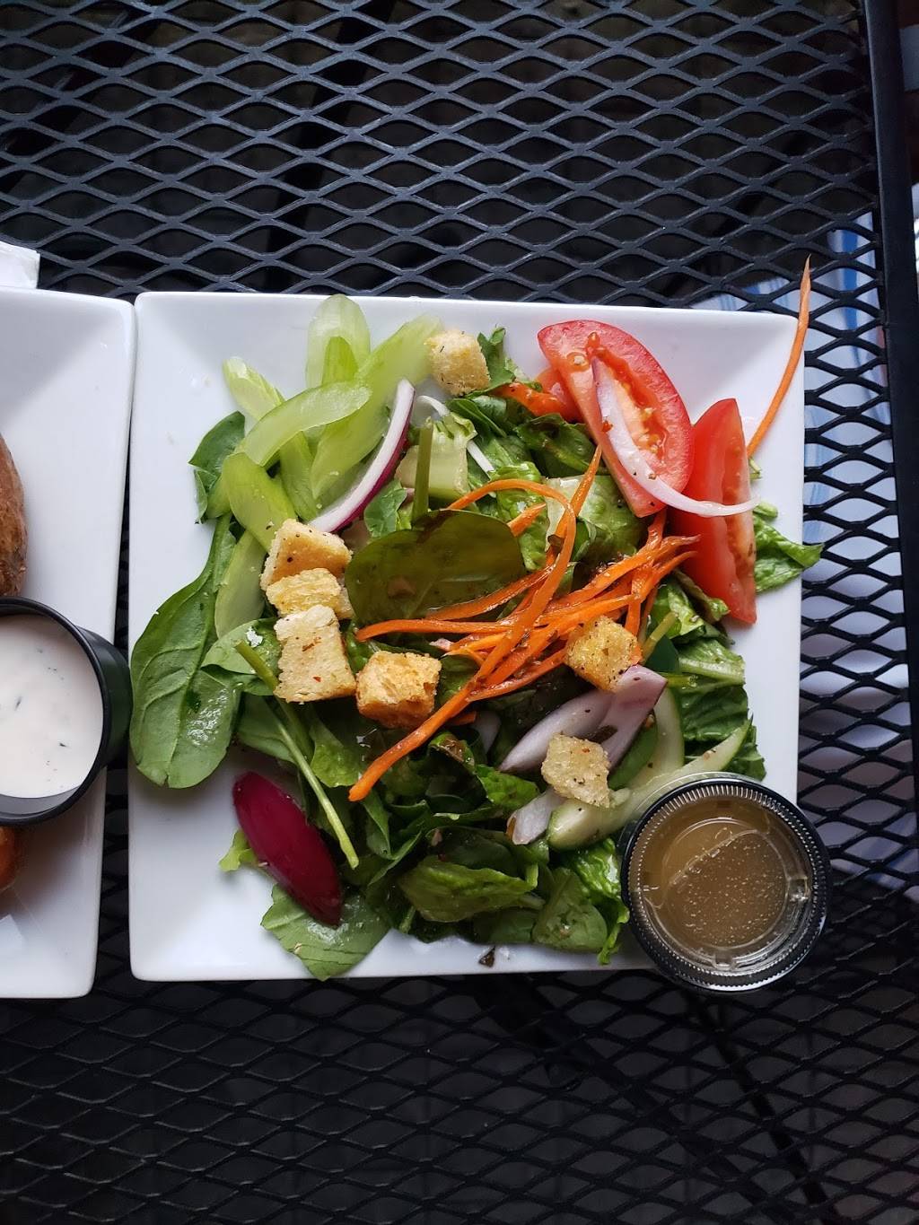 The Steer Restaurant & Saloon | restaurant | 3151 Main St, Buffalo, NY 14214, USA | 7168380478 OR +1 716-838-0478