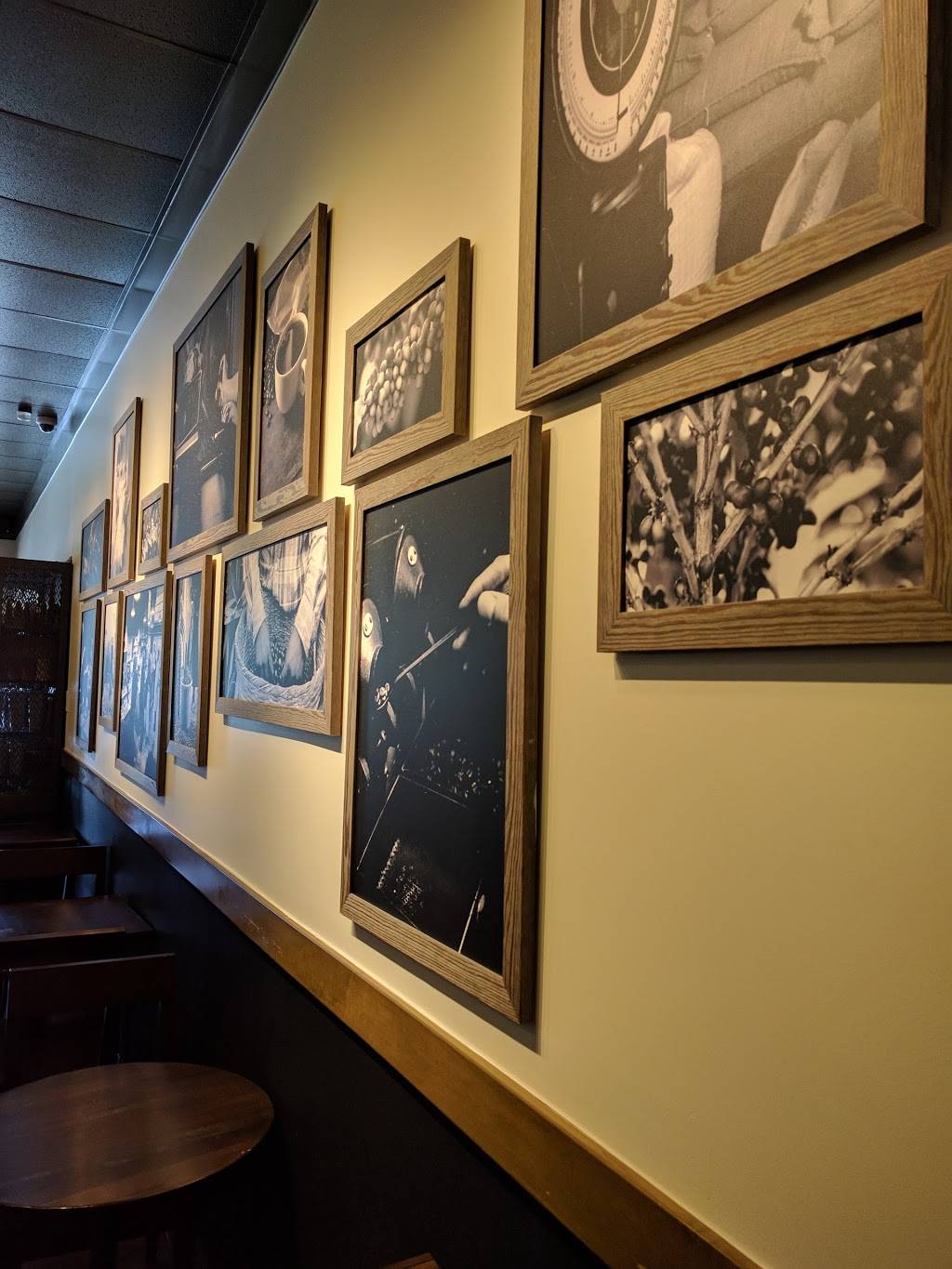 Starbucks | cafe | 264 Redwood Shores Pkwy, Redwood City, CA 94065, USA | 6506544037 OR +1 650-654-4037