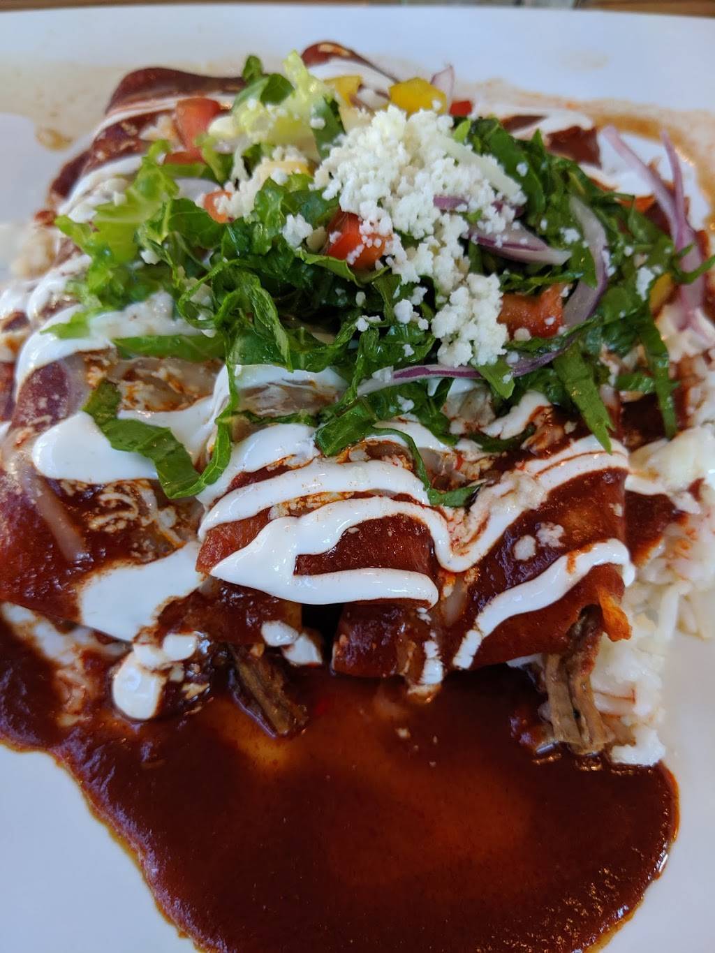 El Bolero - Fitzhugh | restaurant | 2722 N Fitzhugh Ave, Dallas, TX 75204, USA | 2142382211 OR +1 214-238-2211