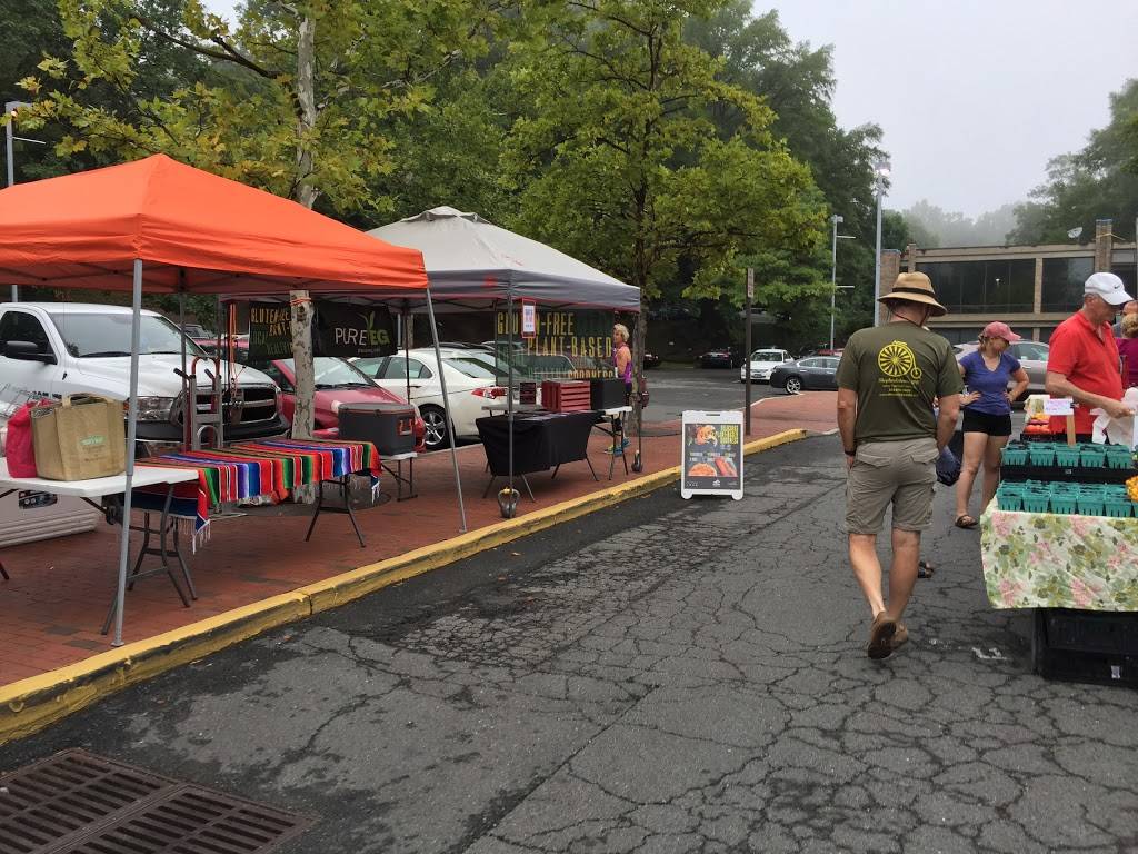 Pure Veg at Reston Farmers Market - Lake Anne | restaurant | 1609-A Washington Plaza N, Reston, VA 20190, USA | 2024951169 OR +1 202-495-1169