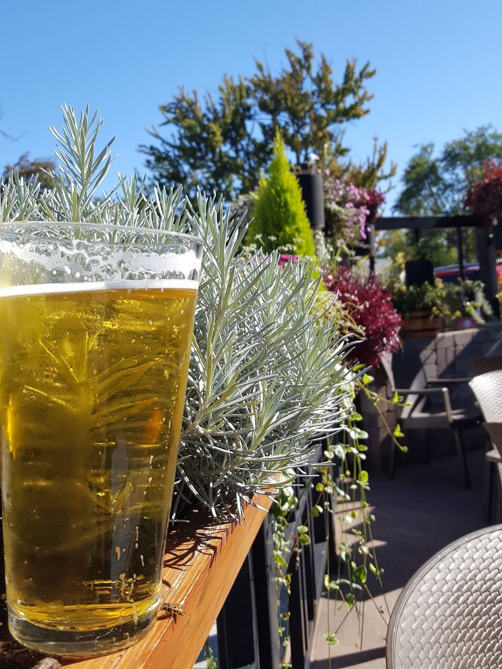 Bonnies Bar & Grill | restaurant | 22811 Lorain Rd, Cleveland, OH 44126, USA | 4407343276 OR +1 440-734-3276