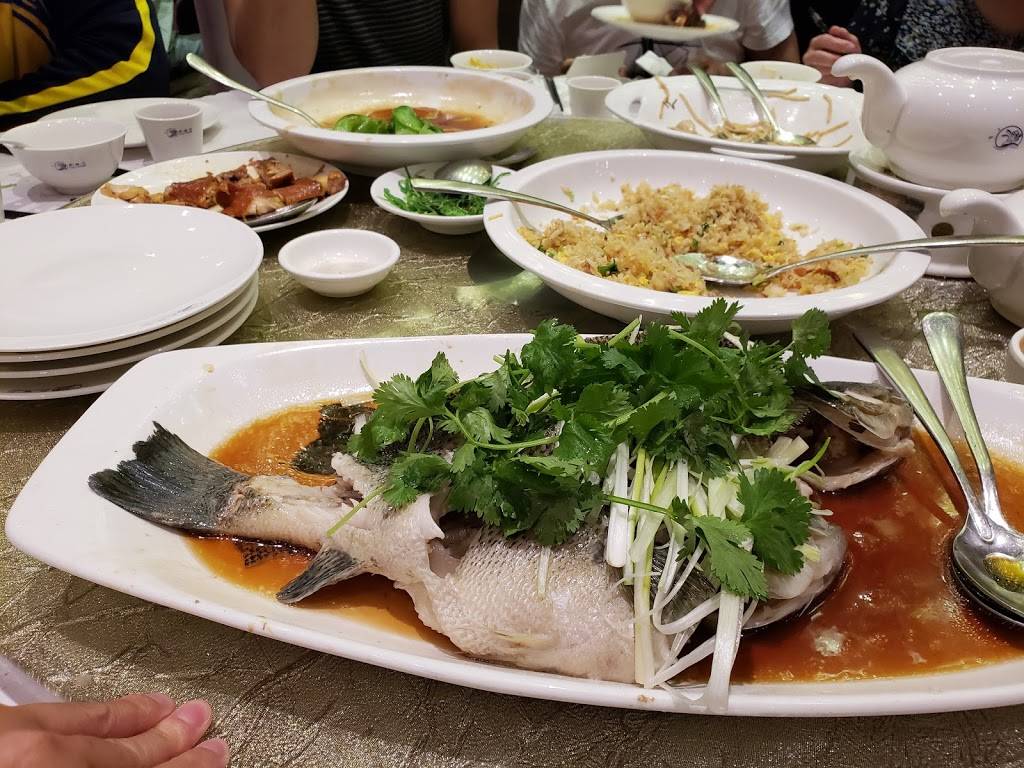 美食坊Fusion Delight | restaurant | 699 Lewelling Blvd #212, San Leandro, CA 94579, USA | 5108951818 OR +1 510-895-1818