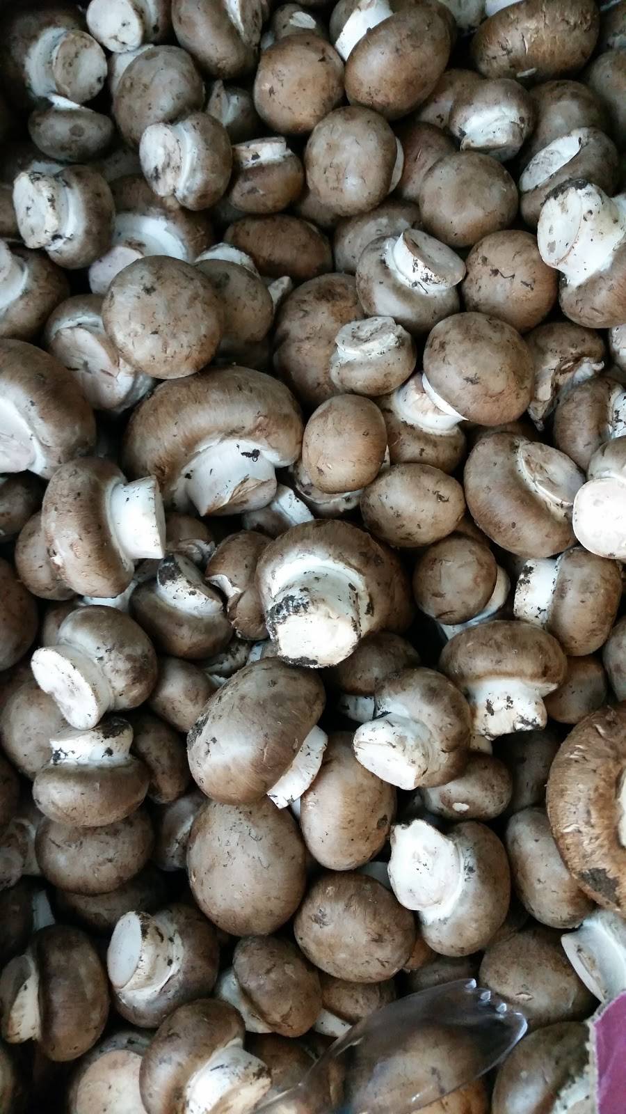 Wholesome Harvest Coop (food store) | restaurant | 30 W Main St, Frostburg, MD 21532, USA | 3016893120 OR +1 301-689-3120