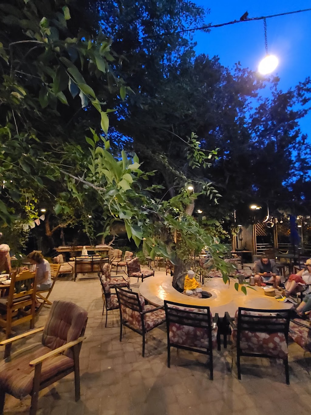 ChocolaTree Organic Eatery | restaurant | 1595 AZ-89A, Sedona, AZ 86336, USA | 9282822997 OR +1 928-282-2997