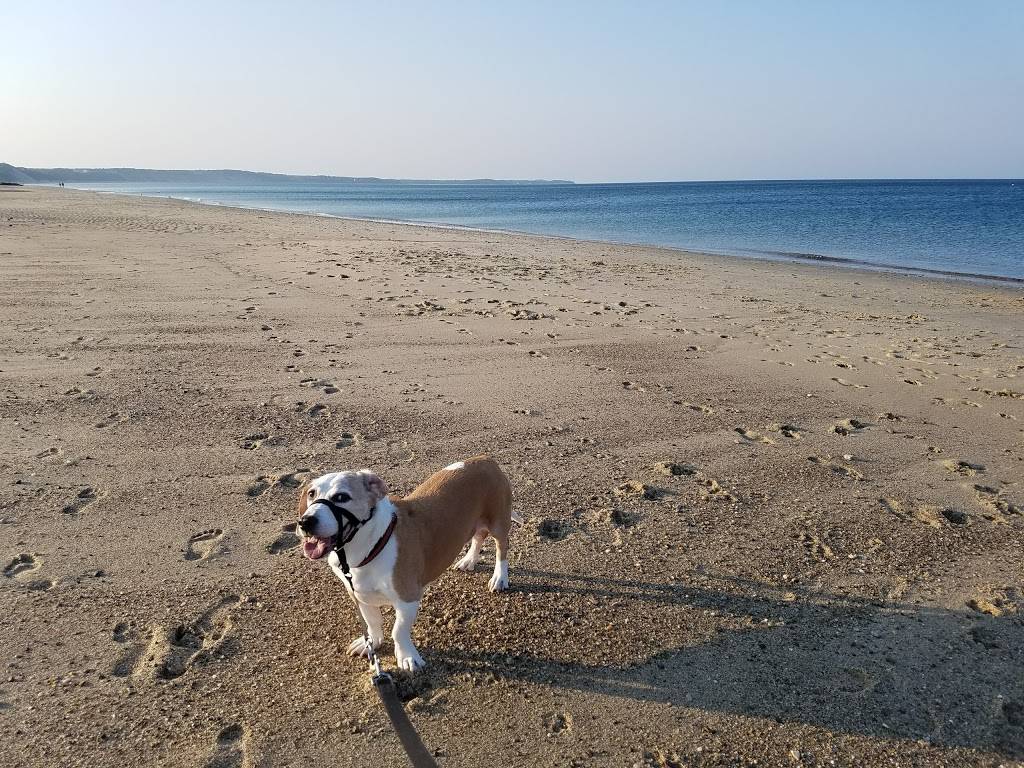 Little House | restaurant | Sands Cv, Cataumet, MA 02534, USA | 5085631946 OR +1 508-563-1946