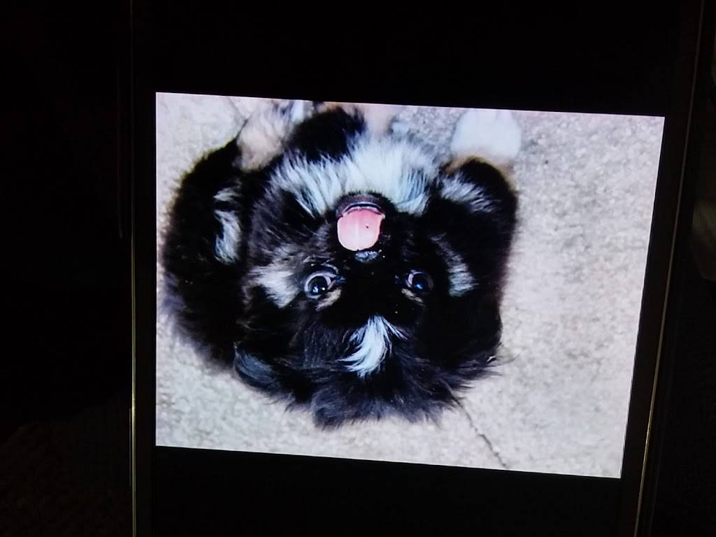 Southend Sports Pub | restaurant | 837 Simcoe St S, Oshawa, ON L1H 4K8, Canada | 9055715601 OR +1 905-571-5601