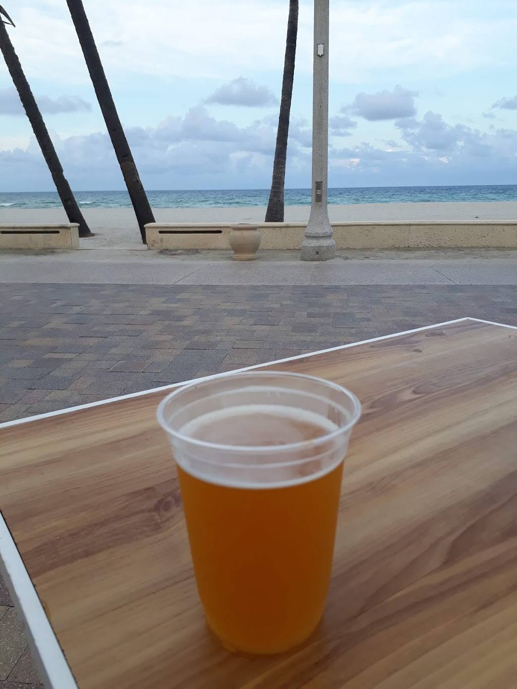 Riptide Tiki Bar | restaurant | 2300 N Surf Rd, Hollywood, FL 33019, USA | 9549217667 OR +1 954-921-7667