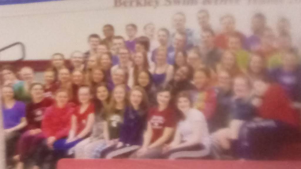 Kams Express | restaurant | 3018 Twelve Mile Rd, Berkley, MI 48072, USA | 2485448030 OR +1 248-544-8030