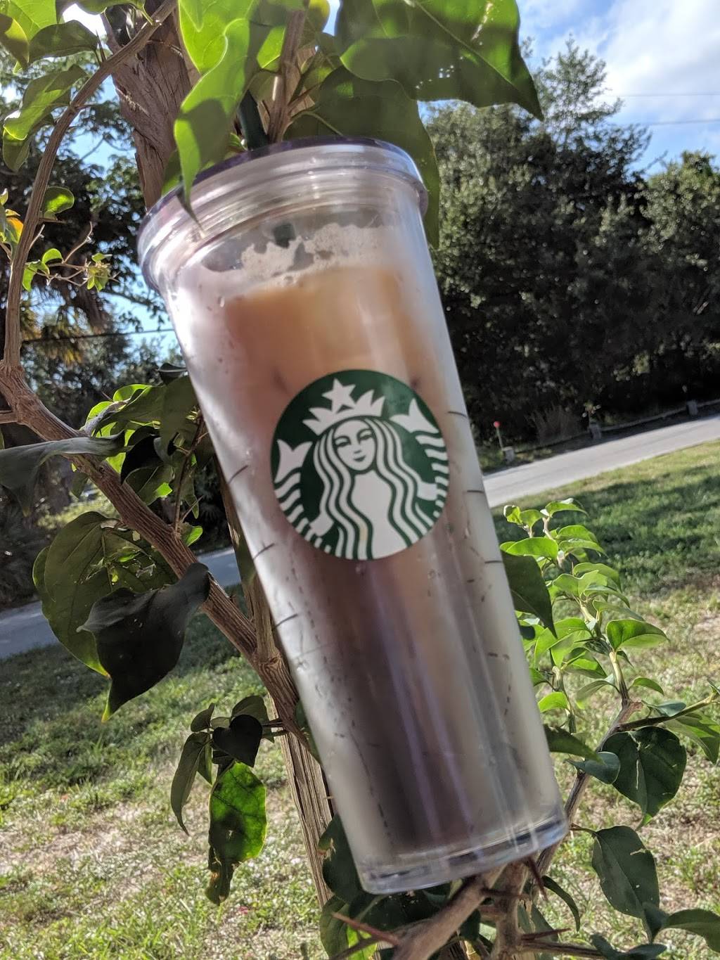 Starbucks | cafe | 1330 N Harbor City Blvd, Melbourne, FL 32935, USA | 3212551684 OR +1 321-255-1684