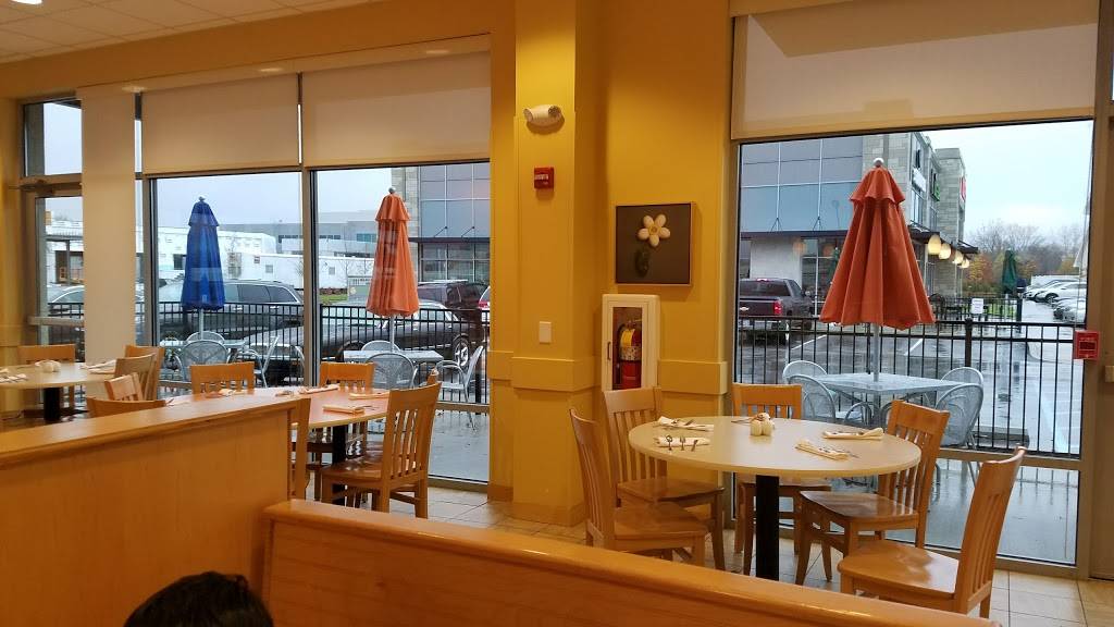 Wild Eggs | restaurant | 1438 W Main St, Carmel, IN 46032, USA | 3179933350 OR +1 317-993-3350