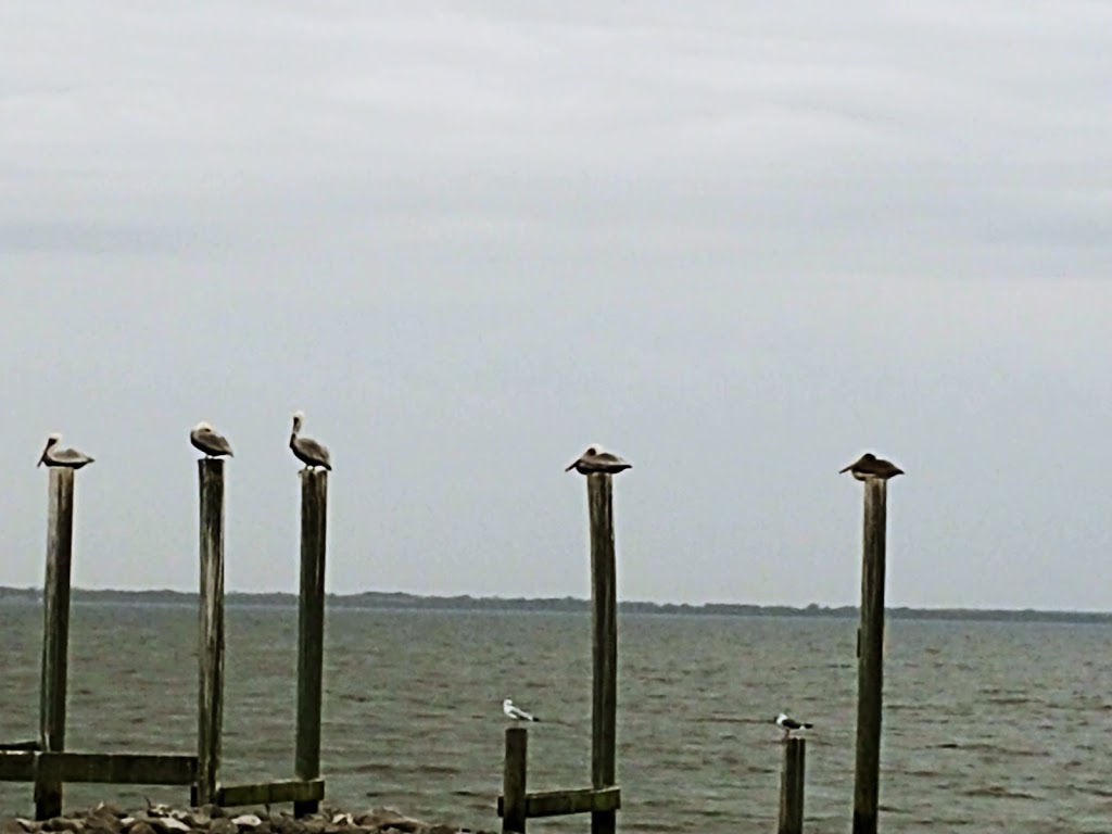 Ritas Cajun Kitchen | restaurant | Big Lake St, Lake Charles, LA 70607, USA | 3379051084 OR +1 337-905-1084