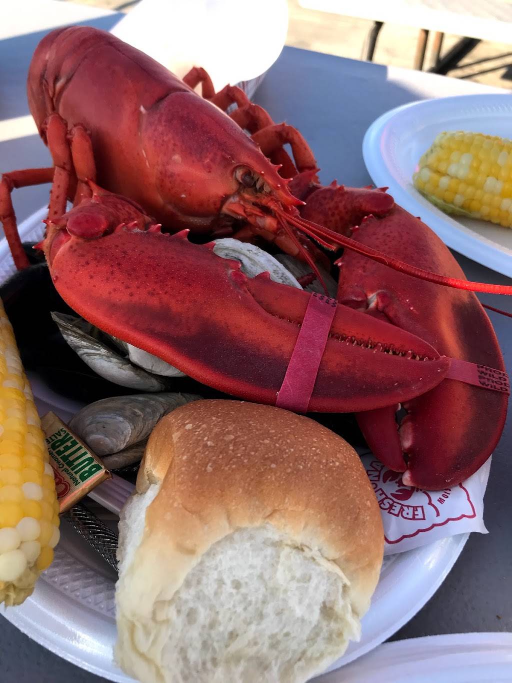 Perrys Lobster Shack | restaurant | 1076 Newbury Neck Rd, Surry, ME 04684, USA | 2076671955 OR +1 207-667-1955
