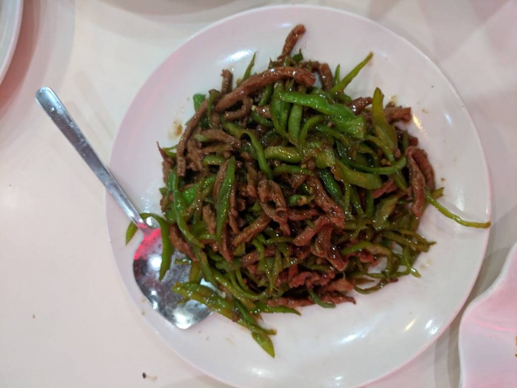 Spring Fish Village | restaurant | 136-21 41st Ave, Flushing, NY 11355, USA | 7189393633 OR +1 718-939-3633