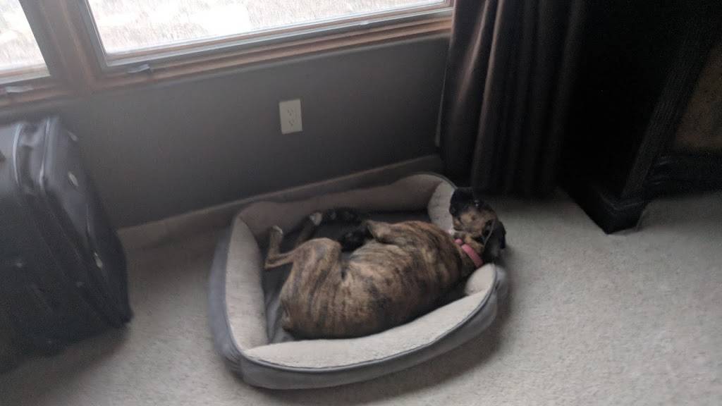 The Blue Grasshopper Pizza | meal takeaway | 4500 Arrowhead Ridge Dr SE, Rio Rancho, NM 87124, USA | 5058968579 OR +1 505-896-8579