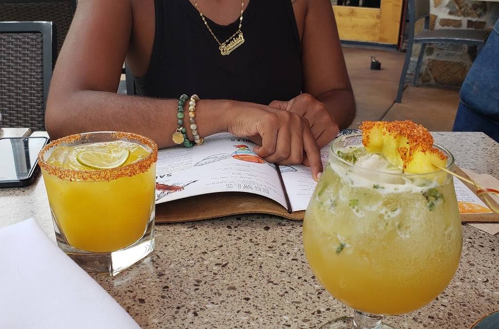 Lazy Dog Restaurant & Bar | restaurant | 1202 Camino Del Rio N, San Diego, CA 92108, USA | 6194816191 OR +1 619-481-6191