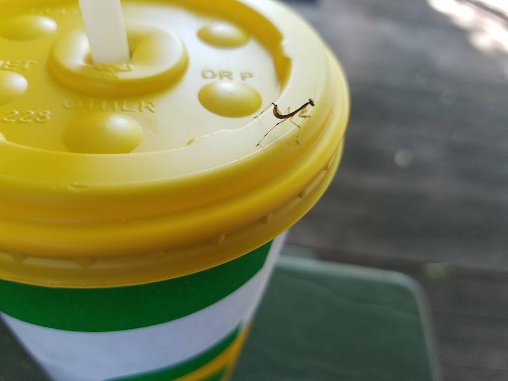 Subway Restaurants | restaurant | 8023 Mesa Dr, Austin, TX 78731, USA | 5127958882 OR +1 512-795-8882