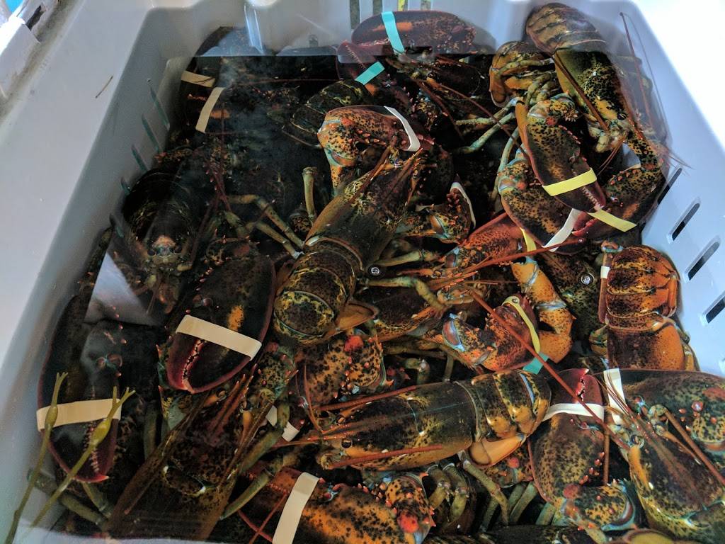 Docks Seafood | restaurant | 15 Evans St, South Portland, ME 04106, USA | 2078994433 OR +1 207-899-4433