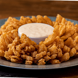 Coachs Neighborhood Grill Reidsville | restaurant | 1529 Freeway Dr., Reidsville, NC 27320, USA | 3367903700 OR +1 336-790-3700