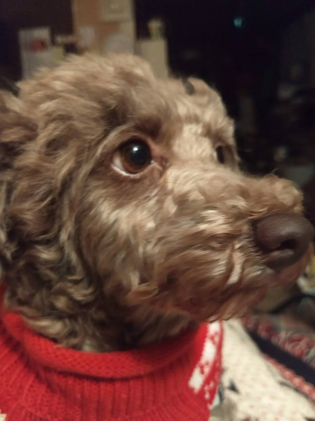 Subway | restaurant | 201 S Main St, Standish, MI 48658, USA | 9898460219 OR +1 989-846-0219