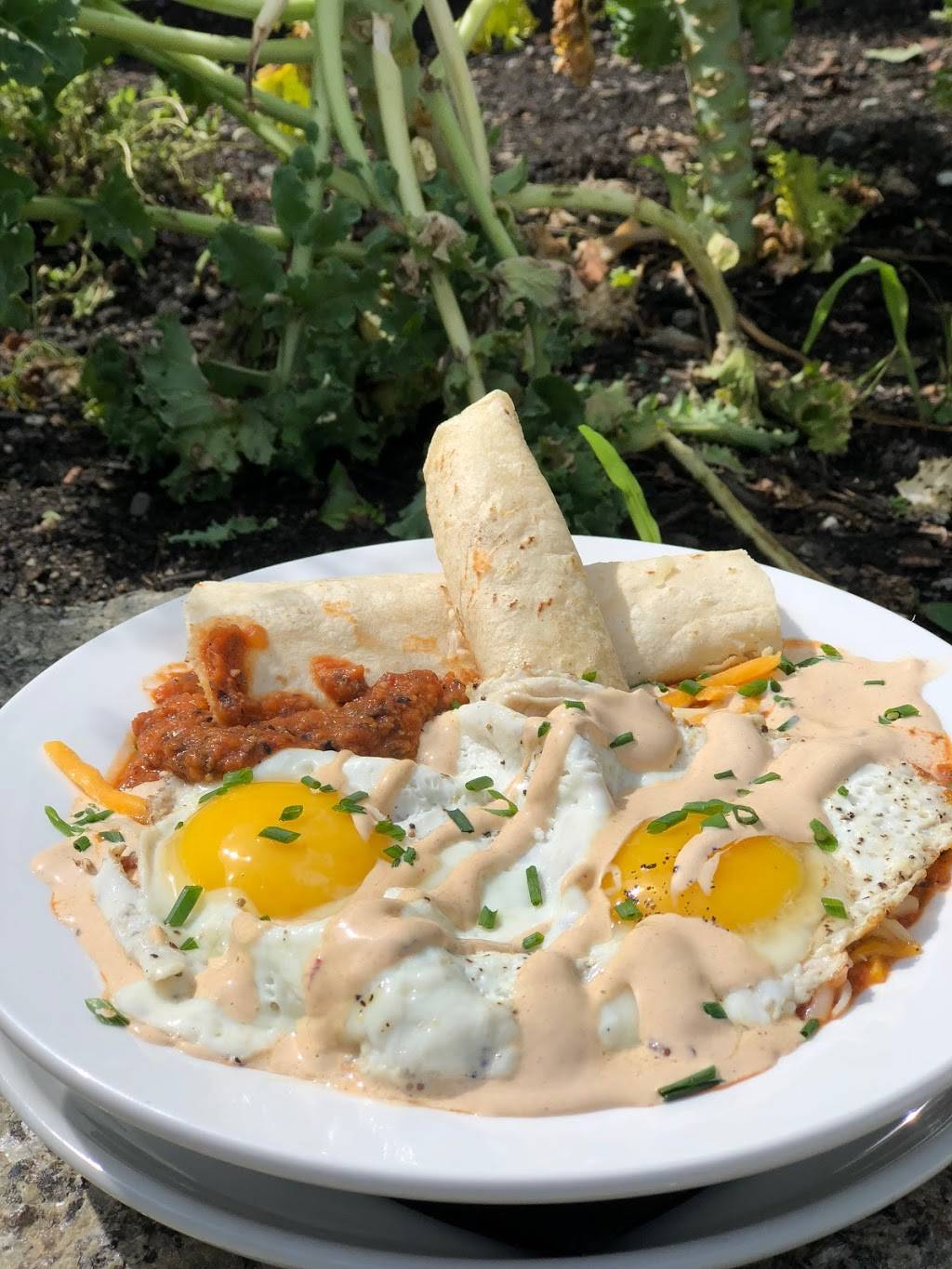 Starlite Amesbury | restaurant | 37 Main St, Amesbury, MA 01913, USA | 9787925746 OR +1 978-792-5746