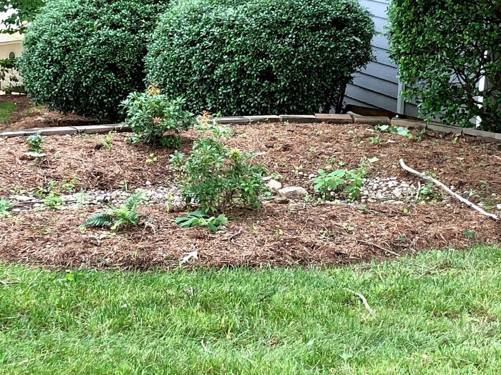 Subway | restaurant | 14807 Moneta Rd, Moneta, VA 24121, USA | 5402978889 OR +1 540-297-8889