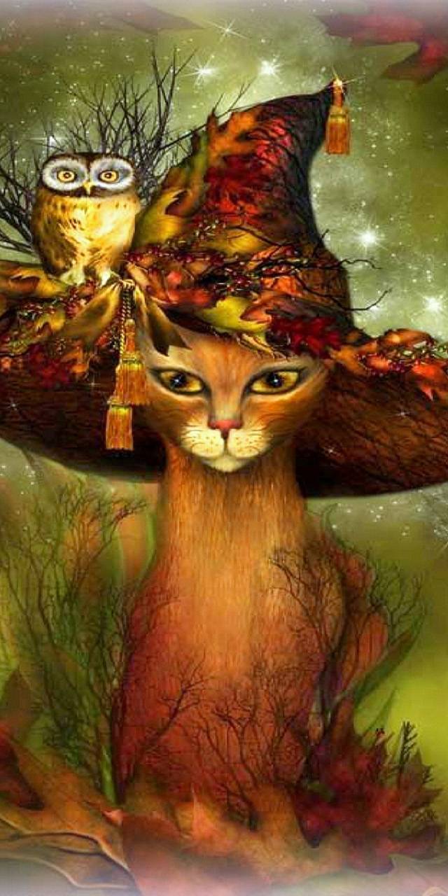 Jersey Mikes Subs | meal takeaway | 1404 County Rd 42 W W, Burnsville, MN 55337, USA | 9526817027 OR +1 952-681-7027