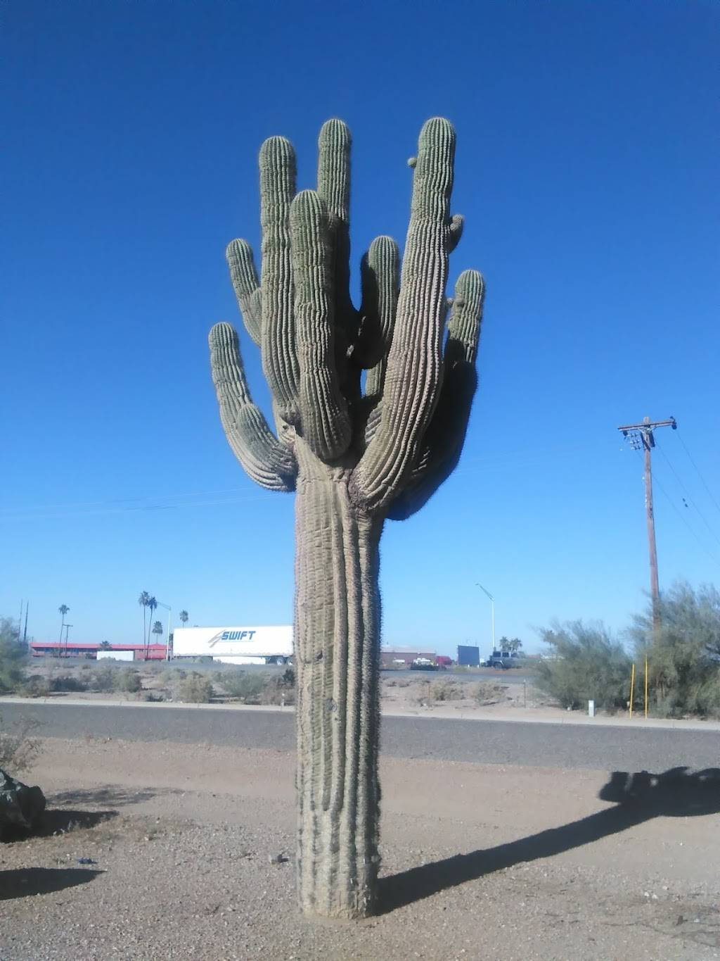 Pizza Hut | meal takeaway | 3720 W Tohono Dr, Eloy, AZ 85131, USA | 5204669407 OR +1 520-466-9407