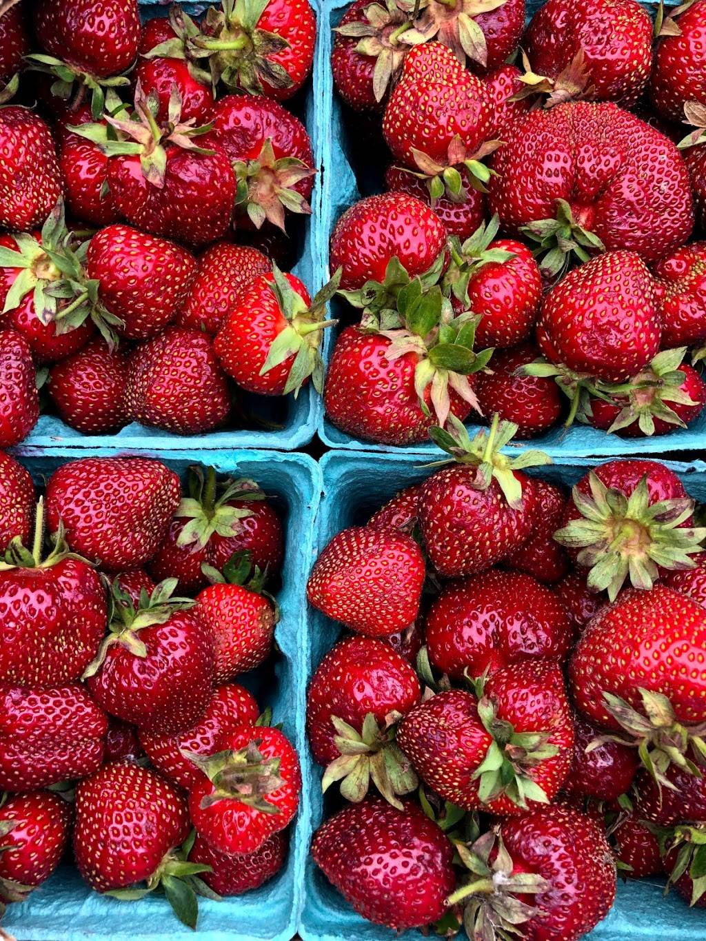 The Cock n Bull Restaurant | restaurant | 5342 Parkis Mills Rd, Galway, NY 12074, USA | 5188826962 OR +1 518-882-6962