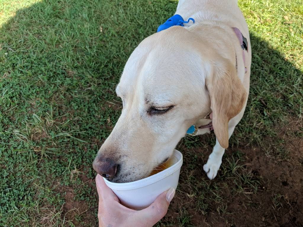 Pelicans Snowballs | restaurant | Marietta, GA 30066, USA | 6784946336 OR +1 678-494-6336