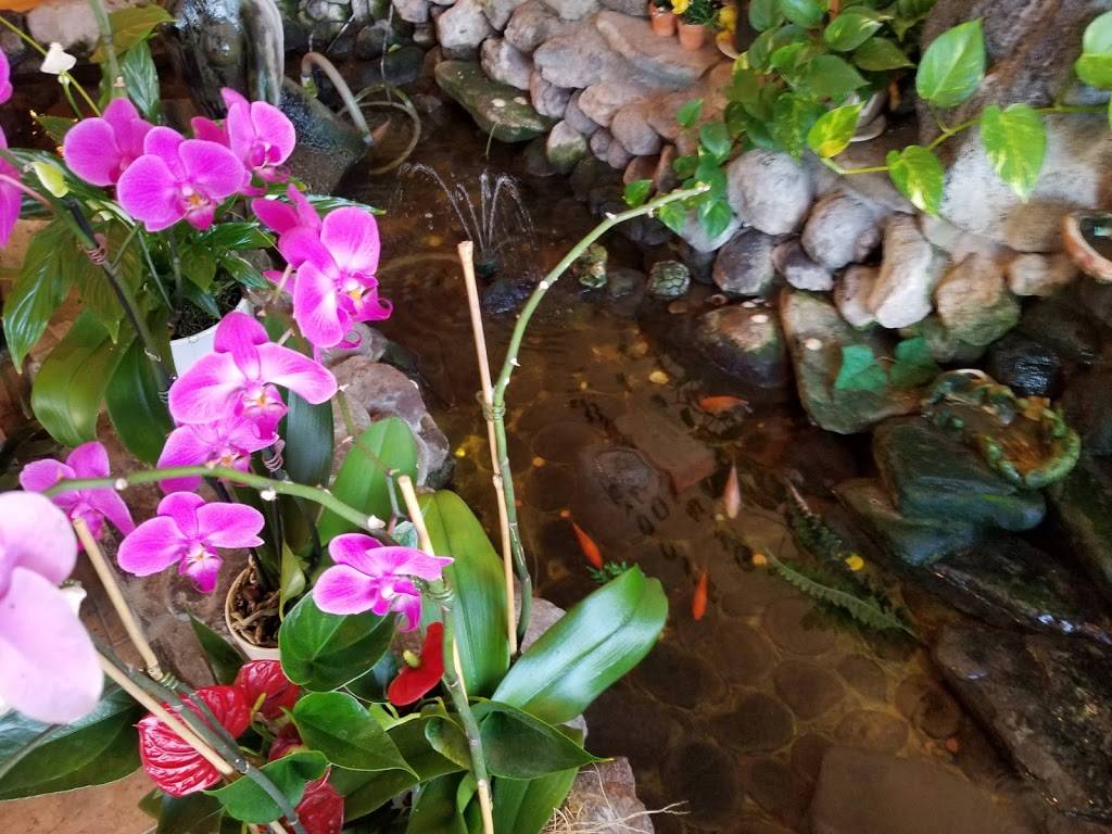 Mama Sushi | restaurant | 4436 Clayton Rd e, Concord, CA 94521, USA | 9254464588 OR +1 925-446-4588