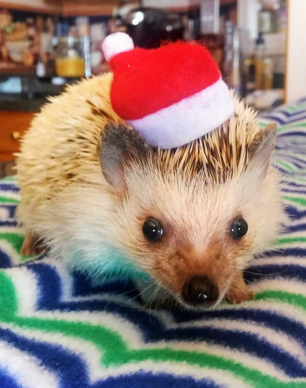 No 1 China Buffet | restaurant | 125 E Reynolds Rd #120, Lexington, KY 40517, USA | 8592715769 OR +1 859-271-5769