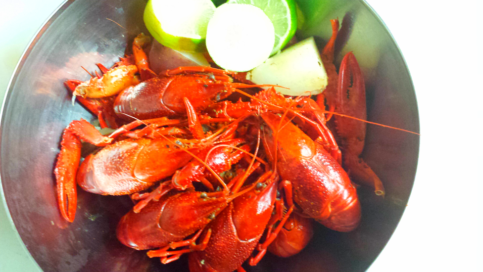 The Shrimp Lover | restaurant | 4814 Melrose Ave, Los Angeles, CA 90029, USA | 3236637079 OR +1 323-663-7079