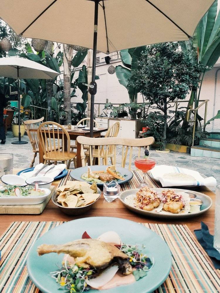 XoK - Mexican Food & Bar | restaurant | 2813 Sunset Blvd, Los Angeles, CA 90026, USA | 3237410021 OR +1 323-741-0021