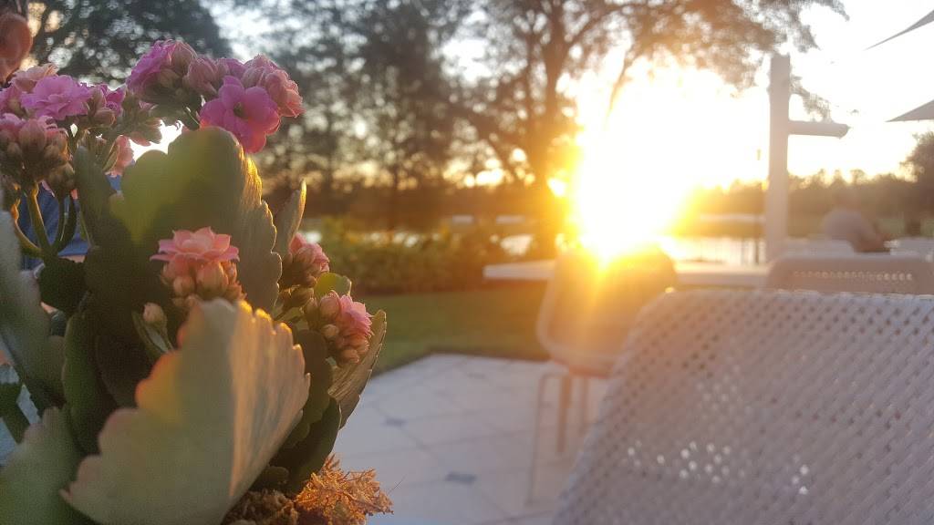 Bleu | restaurant | 4012 Central Florida Pkwy, Orlando, FL 32837, USA | 4072062400 OR +1 407-206-2400