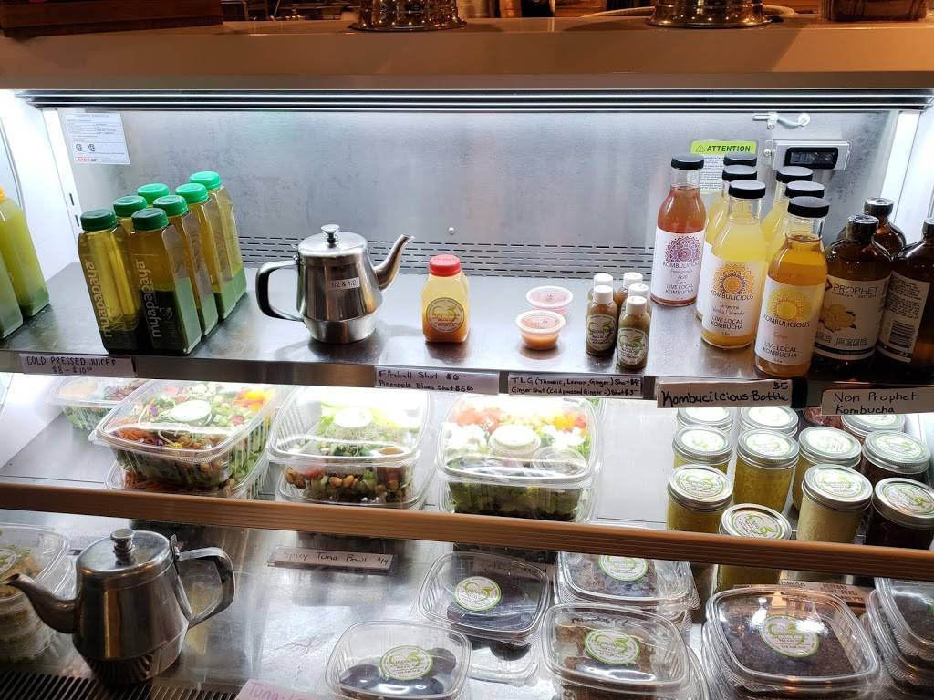 Myapapaya on the river | restaurant | 2528 N Federal Hwy, Fort Lauderdale, FL 33305, USA | 9546337070 OR +1 954-633-7070