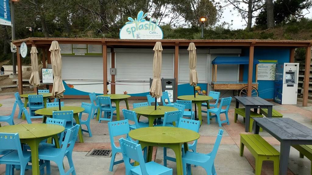 Splash Cafe French Gourmet | restaurant | 2300 Expedition Way, La Jolla, CA 92037, USA | 8584881725 OR +1 858-488-1725