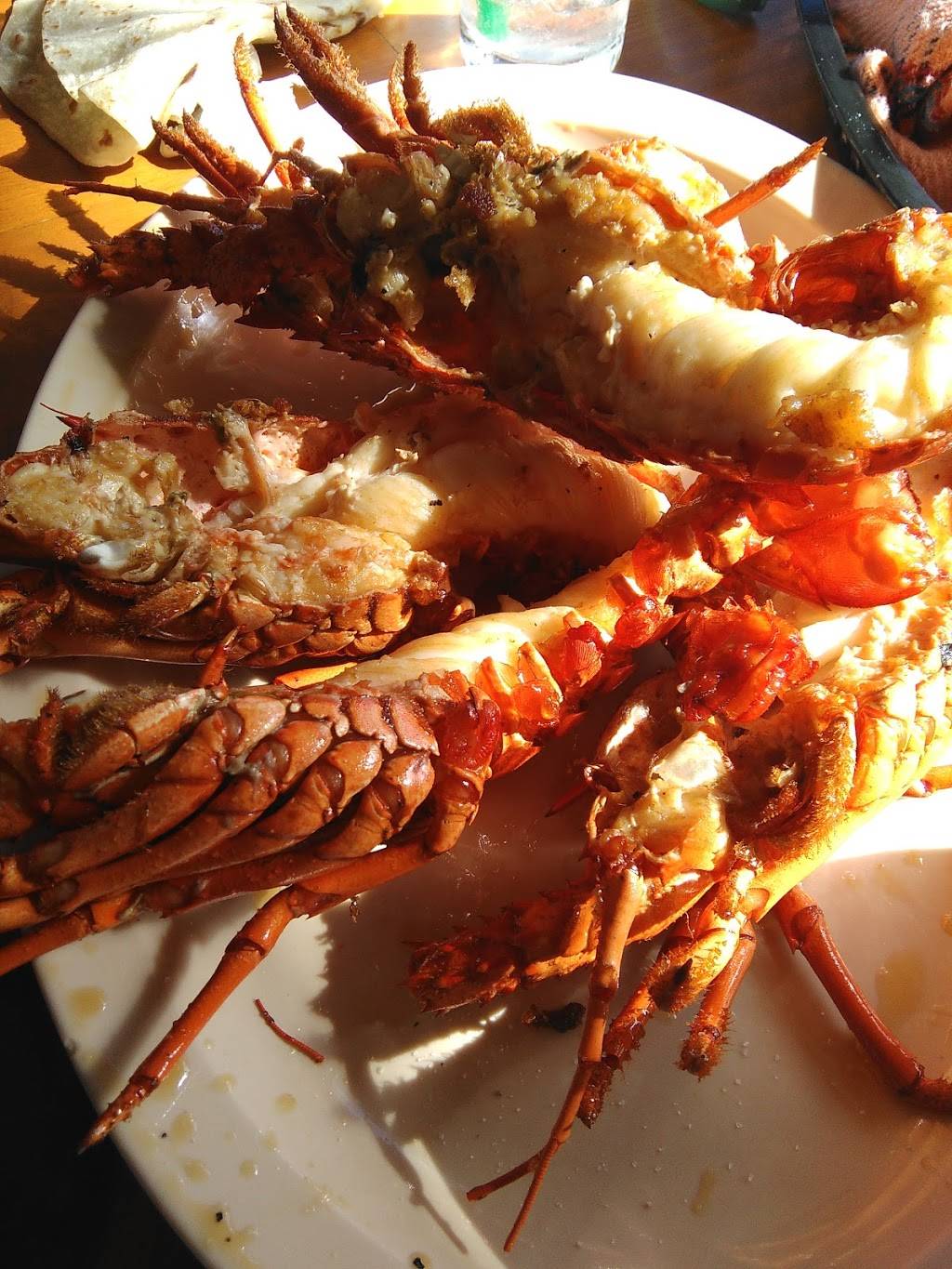 mariscos puerto nuevo | restaurant | Anzuelo #6, 22716 Puerto Nuevo, B.C., Mexico | 016616143039 OR +52 661 614 3039