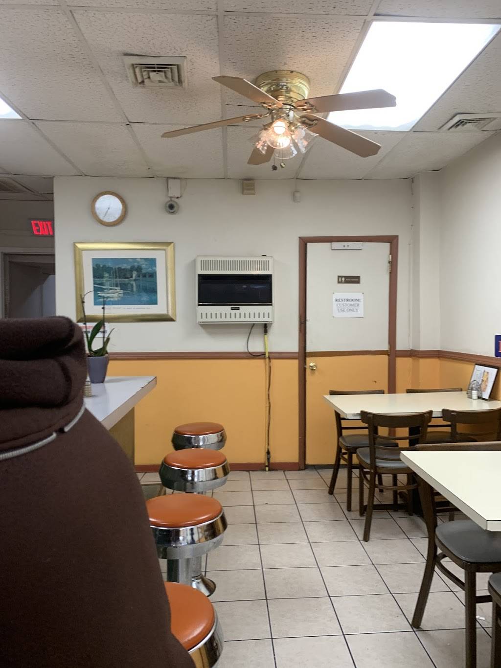 Skyline Restaurant | restaurant | 5655 Chew Ave, Philadelphia, PA 19138, USA | 2158490170 OR +1 215-849-0170