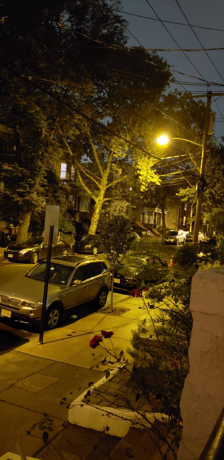 King Szechuan Palace | restaurant | 83 Reservoir Ave, Jersey City, NJ 07307, USA | 2012226888 OR +1 201-222-6888