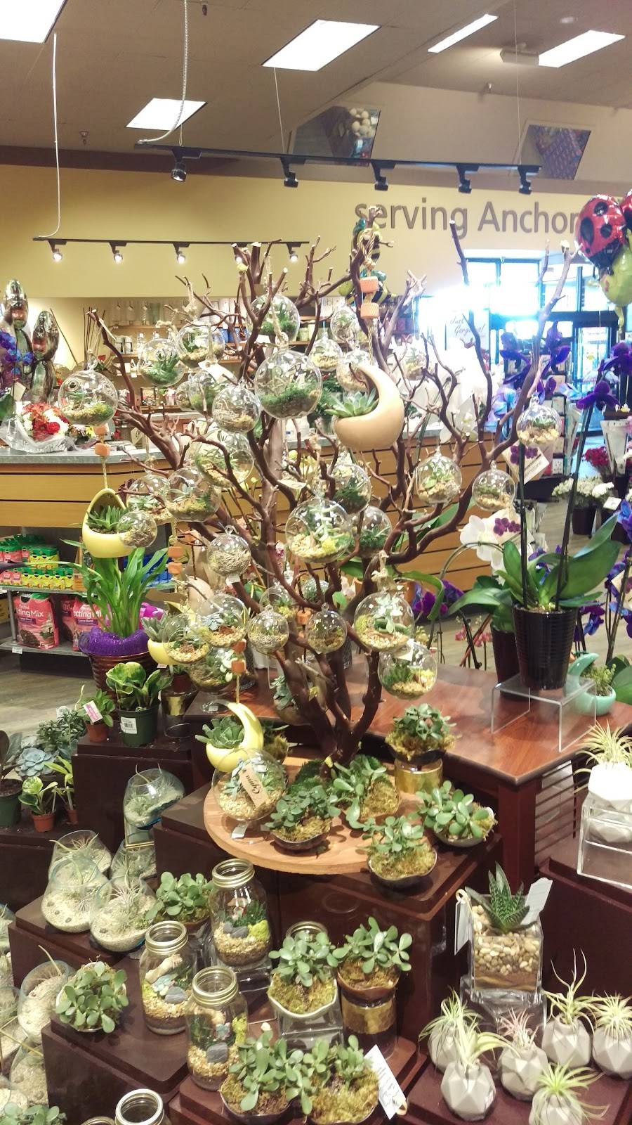 The Northway Mall, LLC (Indoor Shopping Mall) Anchorage , Alaska | shopping mall | 3101 Penland Pkwy, Anchorage, AK 99508, USA | 9072765520 OR +1 907-276-5520