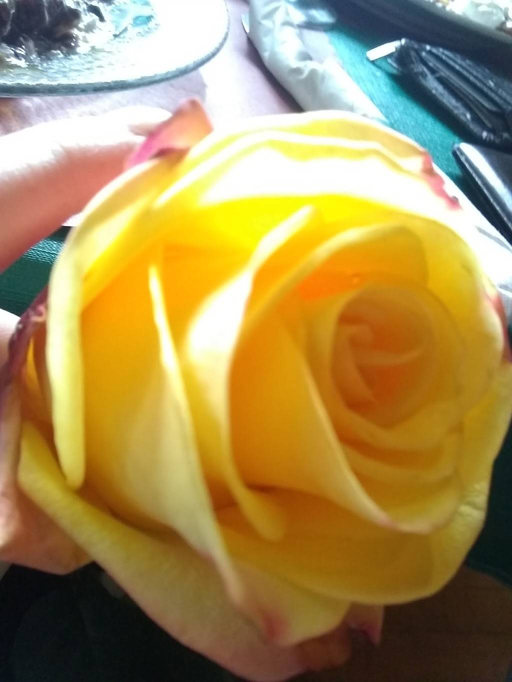 Swayz Mexican Grill | restaurant | 4048 S Packard Ave, St Francis, WI 53235, USA | 4144861380 OR +1 414-486-1380