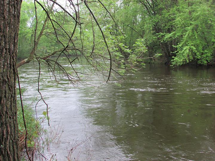 Oconto River Rafting and Tubing LLC & Pulcifer Pub | restaurant | W2319 WI-22, Gillett, WI 54124, USA | 7157456789 OR +1 715-745-6789