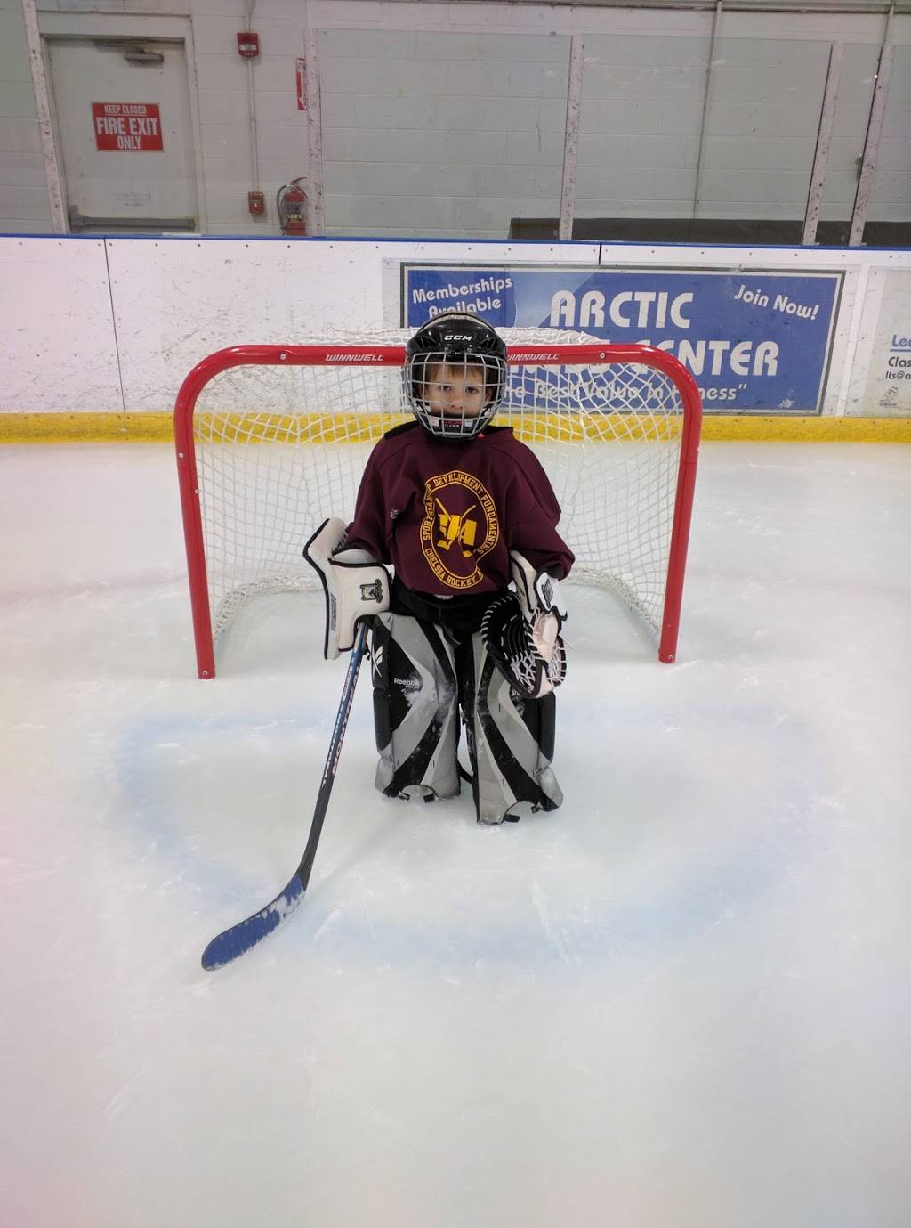 Arctic Coliseum Inc | restaurant | 501 Coliseum Dr, Chelsea, MI 48118, USA | 7344334444 OR +1 734-433-4444