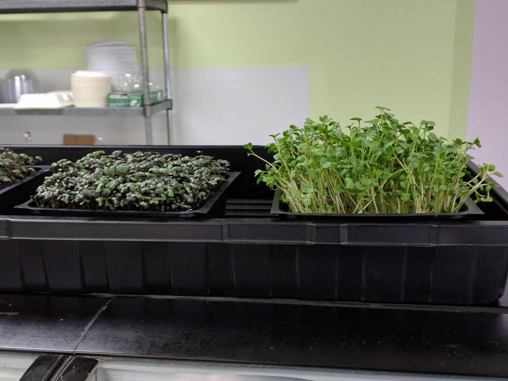 Purple Sprout Cafe | restaurant | 341 E Dundee Rd, Wheeling, IL 60090, USA | 2242237133 OR +1 224-223-7133