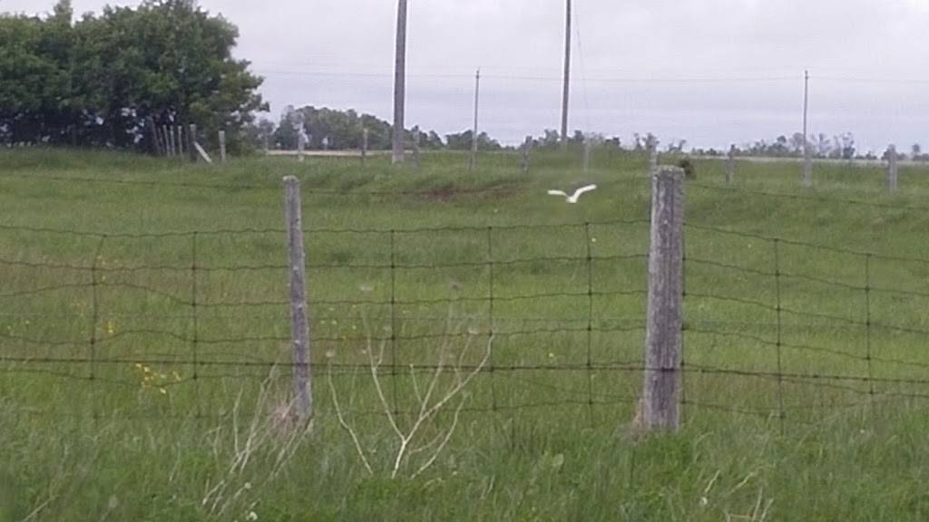 Sunrise Motel & Restaurant | restaurant | 3972 ON-21, Port Elgin, ON N0H 2C5, Canada | 5193682020 OR +1 519-368-2020