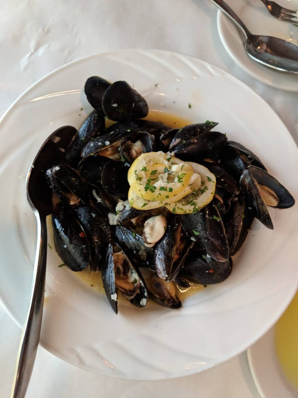 ZaZas Cucina | restaurant | 622 Cascadilla St, Ithaca, NY 14850, USA | 6072739292 OR +1 607-273-9292