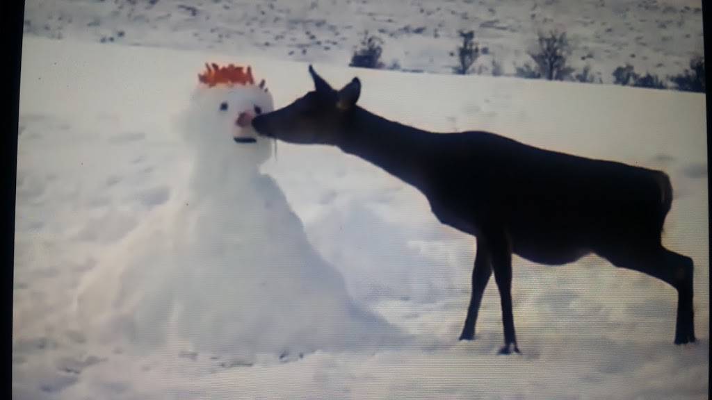 BP | restaurant | 405 GA-299, Wildwood, GA 30757, USA | 7068202005 OR +1 706-820-2005