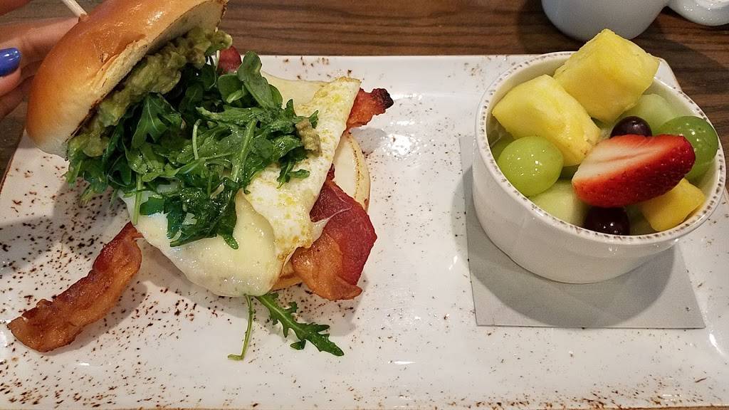 First Watch - Wesley Chapel | restaurant | 1648 Bruce B Downs Blvd, Wesley Chapel, FL 33543, USA | 8139293947 OR +1 813-929-3947