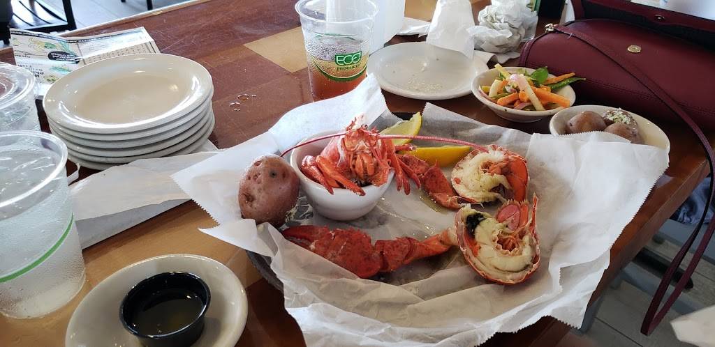 Anna Maria Oyster Bar on the Pier | restaurant | 200 Bridge St, Bradenton Beach, FL 34217, USA | 9417782662 OR +1 941-778-2662